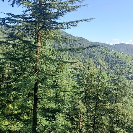 Peace Holiday Homestay Chail Exterior photo