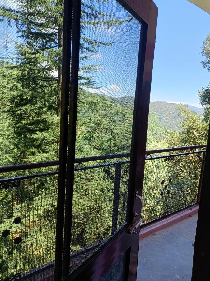 Peace Holiday Homestay Chail Exterior photo