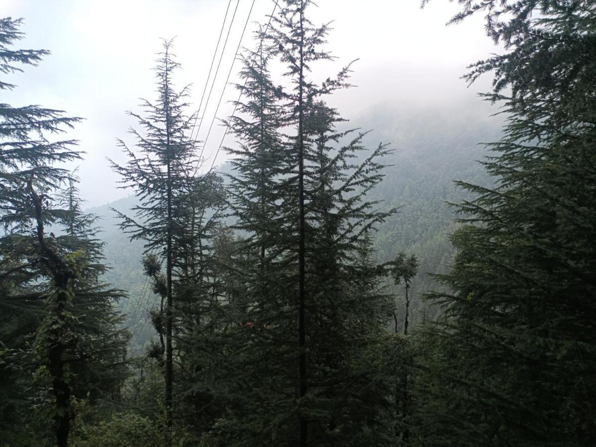Peace Holiday Homestay Chail Exterior photo