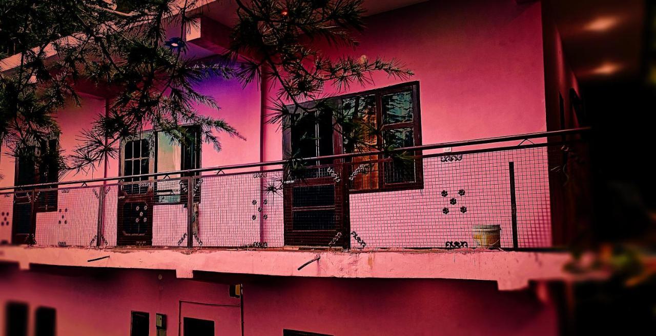 Peace Holiday Homestay Chail Exterior photo