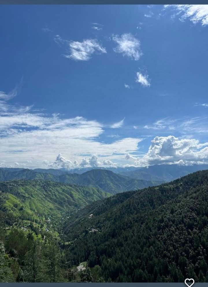Peace Holiday Homestay Chail Exterior photo